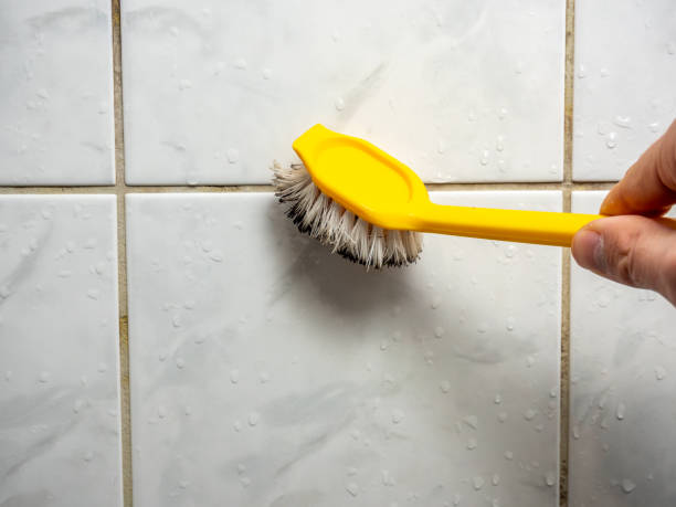 Best Mold Removal Process  in Maquoketa, IA