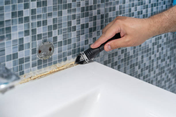 Best Commercial Mold Removal  in Maquoketa, IA