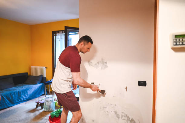 Best Black Mold Removal  in Maquoketa, IA