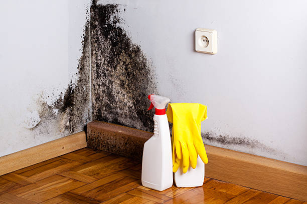 Water Damage Restoration in Maquoketa, IA